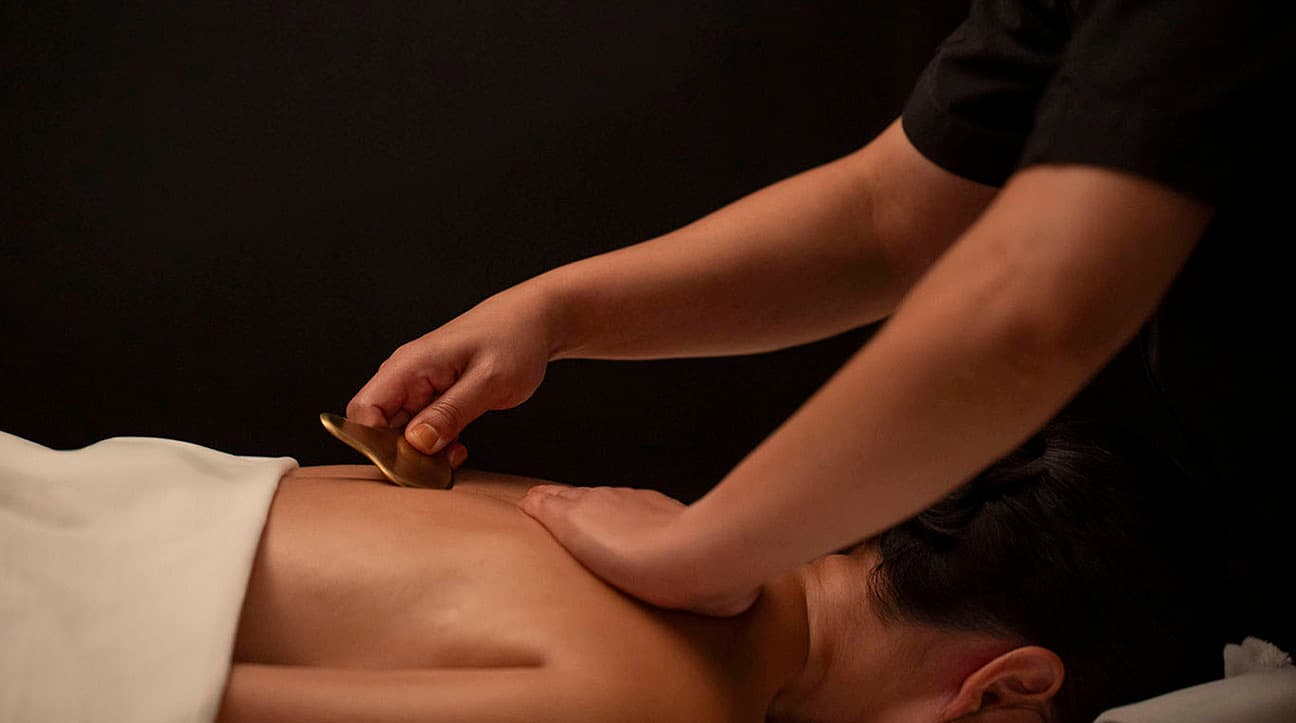 TREATMENTS